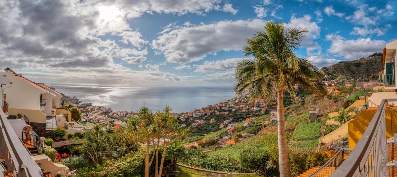 Villa Palm Tree House By Amazing Madeira Câmara de Lobos Exterior foto