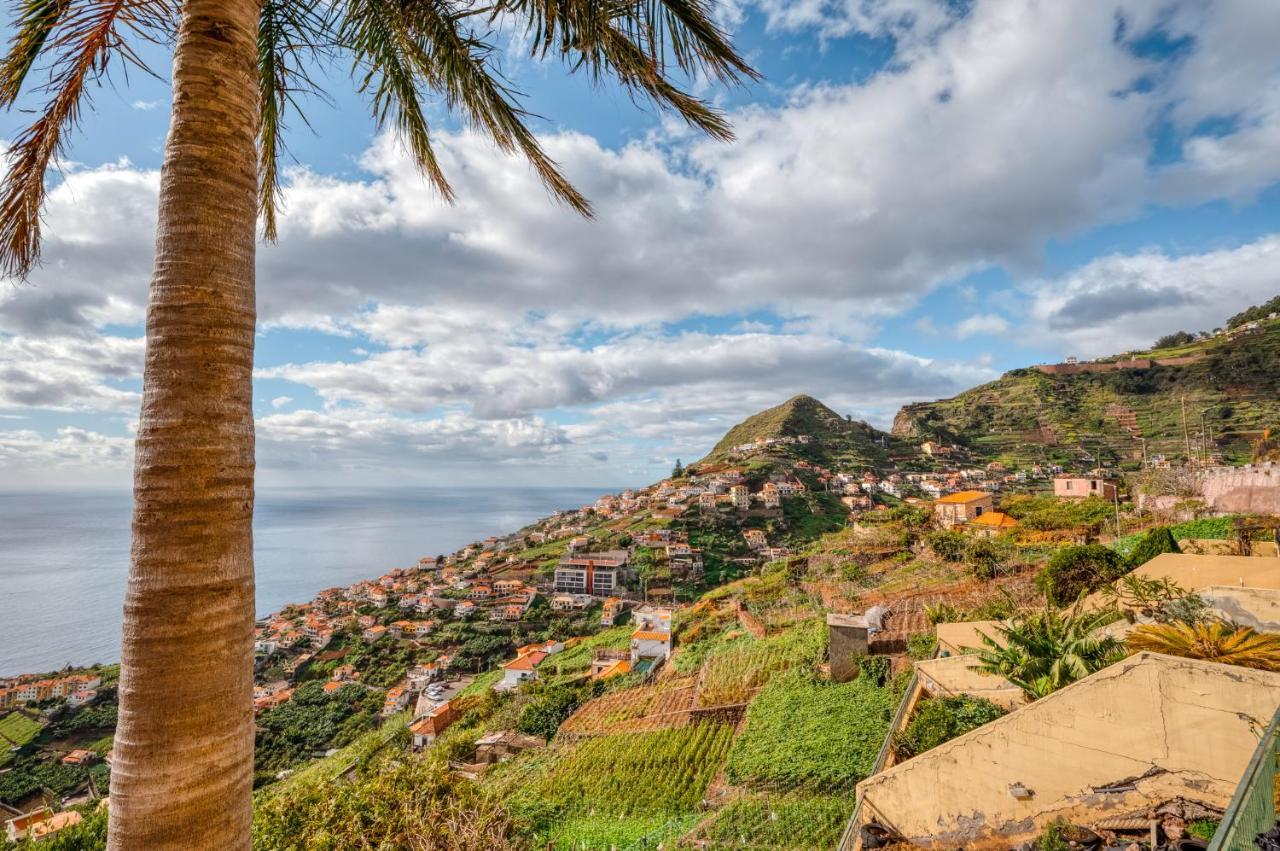 Villa Palm Tree House By Amazing Madeira Câmara de Lobos Exterior foto